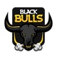 Blackbulls FV
