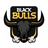 Blackbulls FV