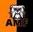 AMF TEAM