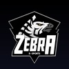 ZEBRA E-SPORTS