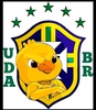 UDA BR