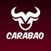 Buffalo eSports (Carabao)