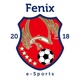 Fênix E-sports