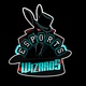 Wizards E-Sports
