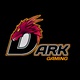 DARK GAMING