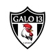 GALO 13