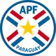 PARAGUAI SELEÇÃO