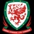 Seleção País de Gales