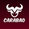 Buffalo eSports (Carabao)