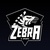 ZEBRA E-SPORTS