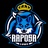 RAPOSA ESPORTS