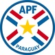 Seleção Paraguai