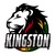 Kingston FV
