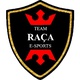 Team Raça