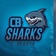 CB Sharks ES